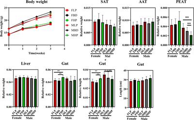 Effects of Diets With Different Protein Levels on Lipid Metabolism and Gut Microbes in the Host of Different Genders